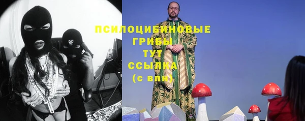 меф Анива