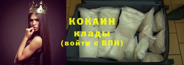 твердый Осинники