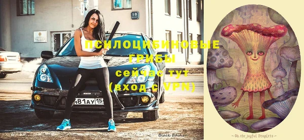 метамфетамин Апатиты