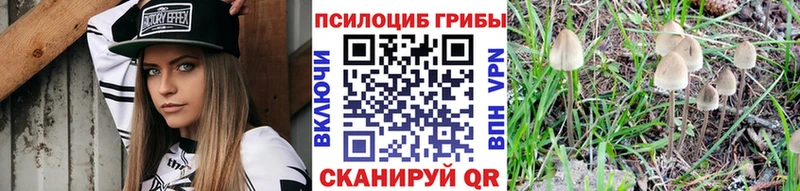 Псилоцибиновые грибы мухоморы  гидра tor  Лысково  закладка 